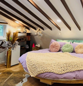 Paloma, Large Attic Apartment Shandaken
